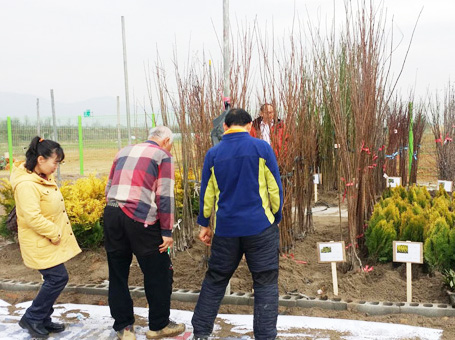 김해시산림조합, 개장 축하기념 나무 나누어주기 행사