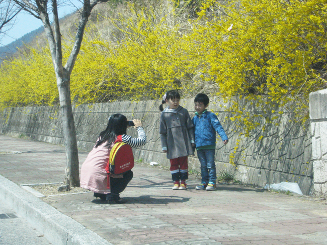 노오란 개나리 꽃에 취한 아이들에게  기념사진찍어주는 선생님. 2011.3.29 장유면