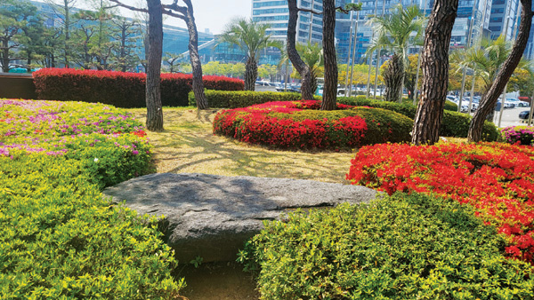김해 인근 도시 공원의 소나무 조경수 아래는 이처럼 화려한 화초와 다양한 식물들로 아름답게 잘 조성되어 있고 시민들이 앉아 쉴 수 있는 바위석도 틈틈이 있다.